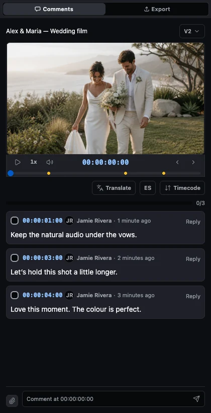 FlowShot comments panel in the editing workflow